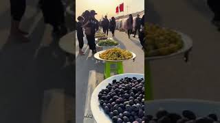 بدة بدة زحف النشامة