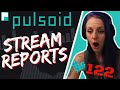 Find The BEST Moments Of Your Stream With PULSOID STREAM REPORTS