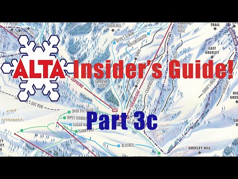 An Insider's Guide to Alta (Part c-Albion & Sugarloaf)