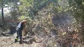 incendi-giornata-di-super-lavoro