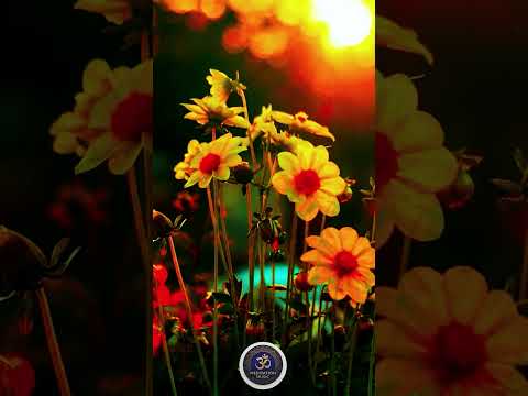 Cozy Fireplace Meditation: Relax & Find Peace (Short #131)