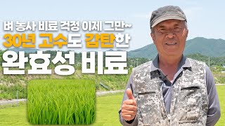 벼 비료 고민 걱정 끝! 30년 종자 고수가 알려주는 완효성비료 노하우