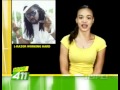HYPE TV 411 WITH BEENIE MAN NICKI MANAJ L RAZOR AND VYBZ KARTEL