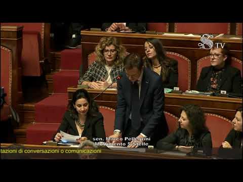 Marco Pellegrini - Intervento Aula Senato (19.02.20)