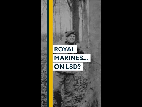 When Royal Marines were given LSD #Shorts