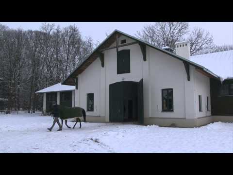 Janowska Pinga Championką Świata - www.pulsmiasta.tv