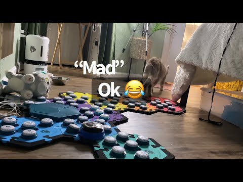 MAD for second breakfast | BilliSpeaks