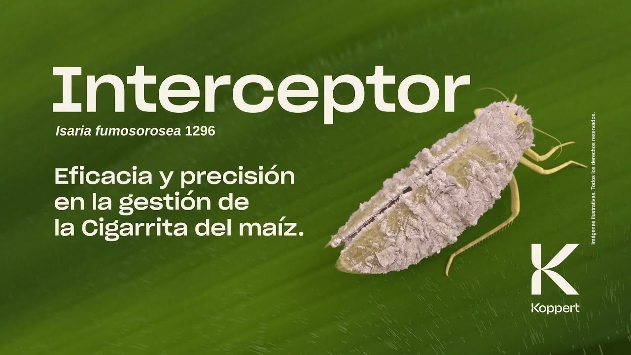 Video preview poster