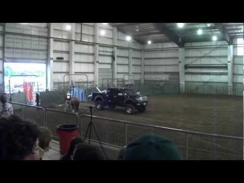 Extreme Mustang Makeover Champion 2012, Albany, OR