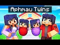 Aphmau and Aaron HAD TWINS in Minecraft!