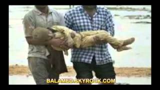 Petit homme Mort au Combat - Daniel Balavoine. Version 2012