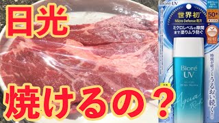 【再検証】日焼け止めを塗った肉は日光で焼けるのか？