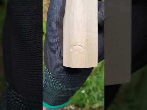 Carve an eye on wood with just one tool! #craft #woodcarving #whittling #carving #woodworking