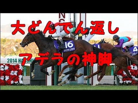 2014複勝勝負・阪神ジュベナイルフィリーズ。大どんでん返し、アデラの神脚