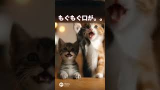 子猫が初めて焼き魚を見た結果…冷静な先住猫も崩壊【猫あるある】