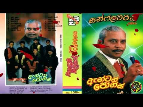 Anton Jones 01 with SUNFLOWER |ඇන්ටන් ජෝන්ස් 01 සන්ෆ්ලවර් සමඟ