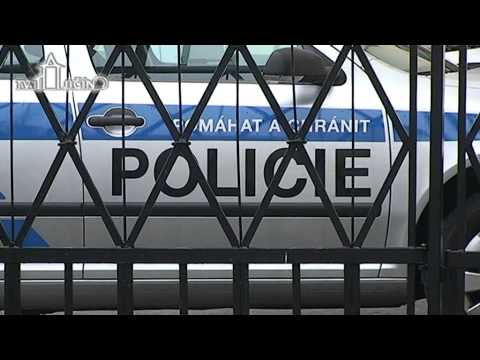 akční hrdinové střílejí v lipové aleji