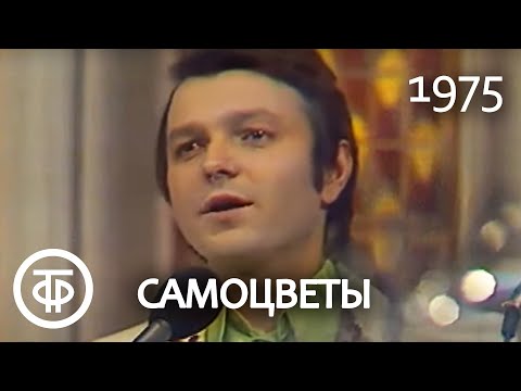 Ансамбль "Самоцветы" "Там, за облаками" Песня Марка Фрадкина на стихи Роберта Рождественского (1975)