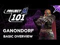 PM 101 Ganondorf Basic Overview