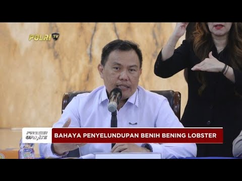 PRESISI UPDATE : BAHAYA PENYELUNDUPAN BENIH BENING LOBSTER 17/10/2024 19.00 (2/2)