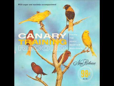 Mexican Dance - The Hartz Mountain Master Canaries