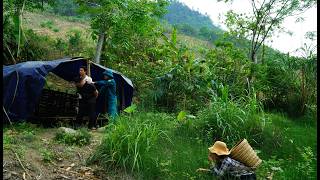 Download lagu The thug has been caught! But have Nam and Tieu Sa found each other yet? mp3