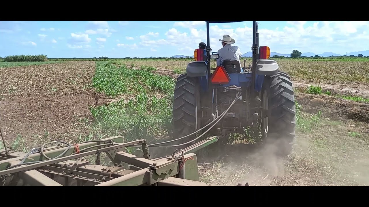 Watch COMO DEBE TRABAJAR LA BARRA DE TIRO FIJA O SUELTA ADEMAS TIERRAS RODEADAS DE BORDOS COMO SE TRABAJA Now COMO DEBE TRABAJAR LA BARRA DE TIRO FIJA O SUELTA ADEMAS TIERRAS RODEADAS DE BORDOS COMO SE TRABAJA