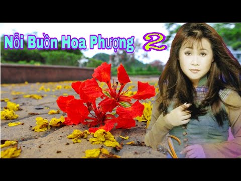 Thể hiện bởi Mộng Thi