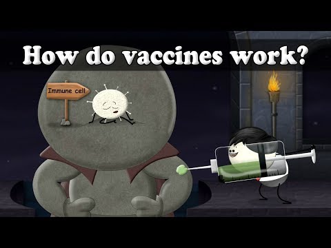 疫苗是如何工作的？| 疫苗的作用是什麼？ (How do vaccines work? | #aumsum)