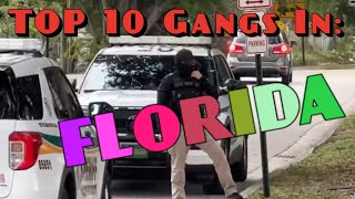 Top 10 Largest Gangs In Florida