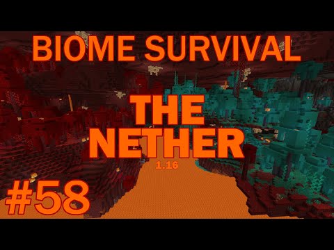 Insane New Nether Biome Adventure in 1.16!