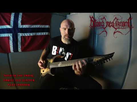 Blood Red Throne - Husk In The Grain (Guitar Playthrough)
