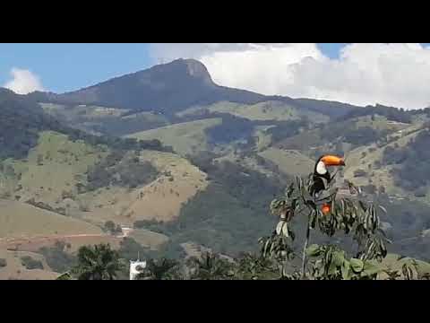 3 de dezembro de 2025