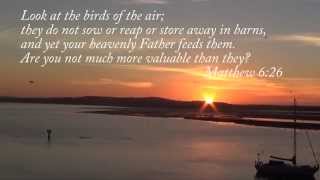 I will cast all my cares upon you