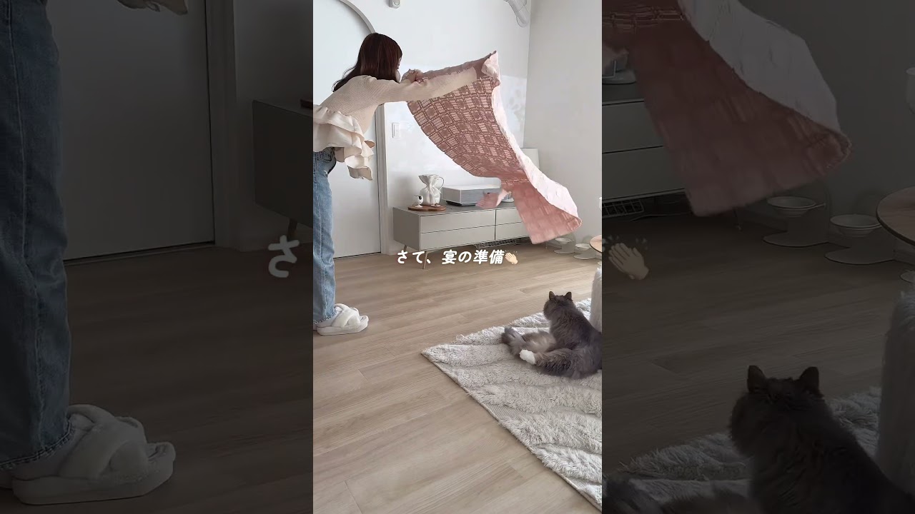 おうちでお花見vlog🐈🌸 #猫のいる暮らし そ