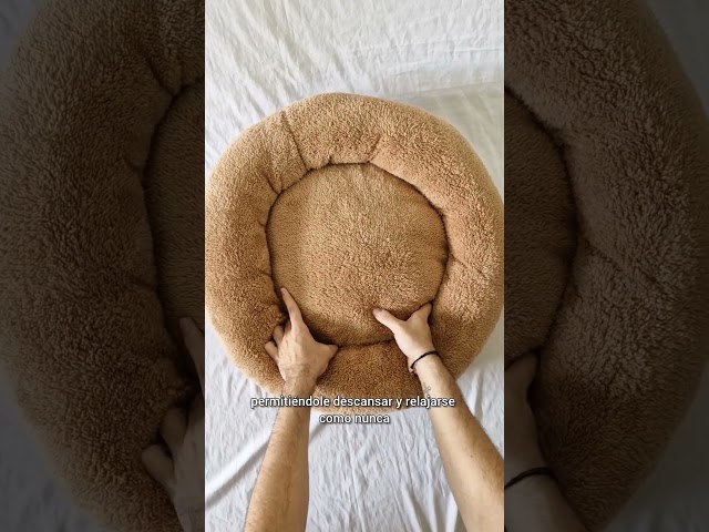 Vídeo relacionado con Cama para Mascotas para Perros y Gatos COCCOLE, Beige, 48x42x16cm