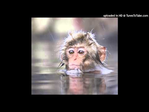 B1L04_P94_閱讀補充版 (B1L04_P94_Reading Plus)