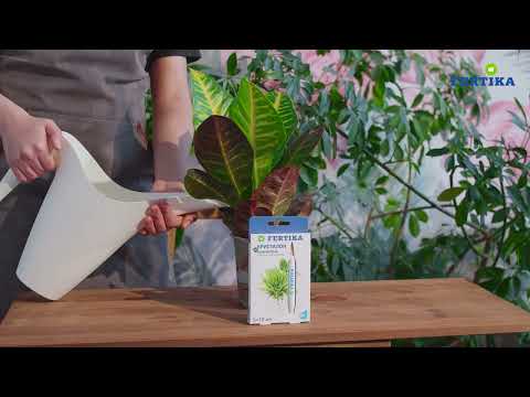 Миниатюра изображения товара Удобрение Fertika Кристалон для пальмовых (5x10мл)