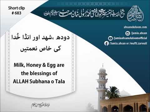 Milk, Honey & Egg are the blessings of  ALLAH Subhana o Tala | SC683 | Mufti Zarwali Khan