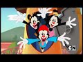 Animaniacs 2020 On Cartoon Network November 2021 Totally Real And Rare Kindly Read Description