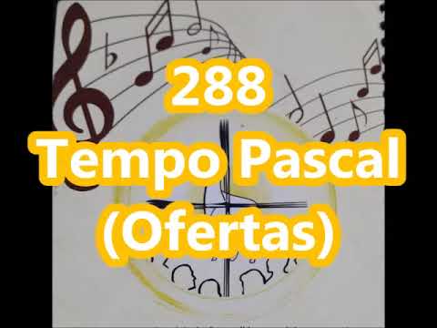 Vendo Jesus Aparecer - Católica