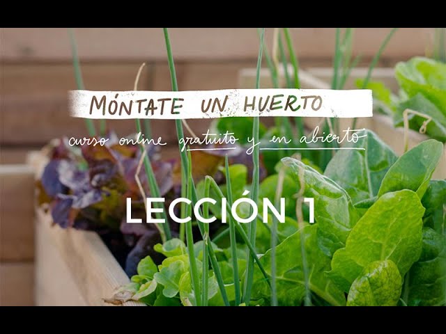 Wymowa wideo od plantea na Hiszpański