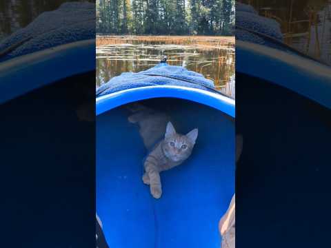 Kayaking with Zoey 😺