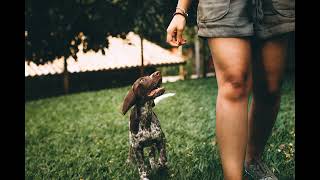 Un Garcon Pas Comme Les Autres Ziggy Celine Dion