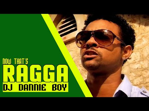 BEST OF OLD SCHOOL RAGGA MIX {T.O.K, Sean Paul Beenie Man  Mr.Vegas Shaggy, BRICK & LACE, }