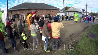 Mardi Gras Indians 2015