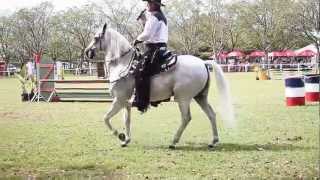 Armand the singing cowboy performing at the Bathurst Show 2013