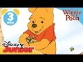 The Mini Adventures Of Winnie The Pooh Lullabee Disney Junior UK
