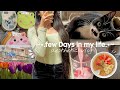 Days in my life in India 🌷 | Aesthetic vlog Indian | shopping, cooking , travel n more