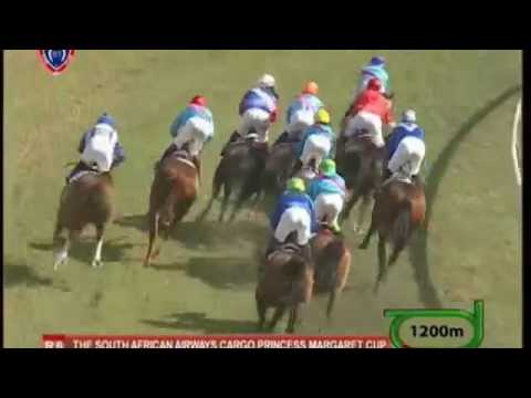 Liquid Motion - Horse Of The Year 2013